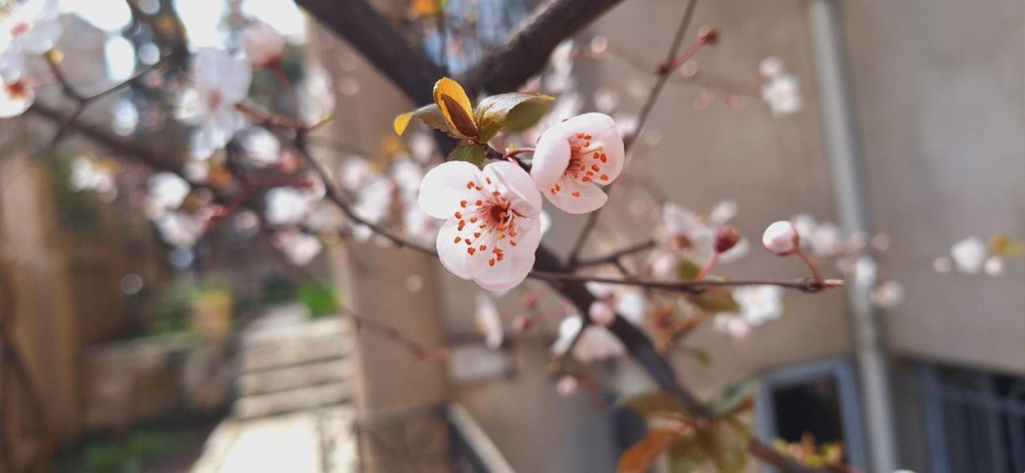 Iliani Hotel Tbiliszi Kültér fotó